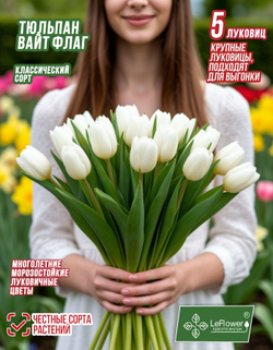 Тюльпан Луковица, Вайт Флаг, 5шт