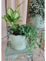 Кашпо для цветов комнатных 19,5*17 см