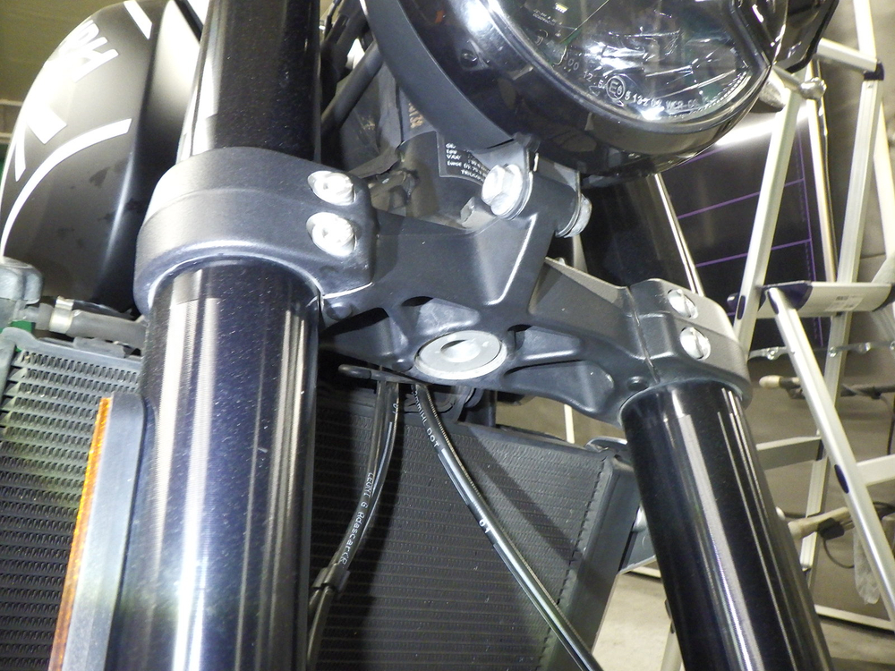 Triumph Trident 660 052942