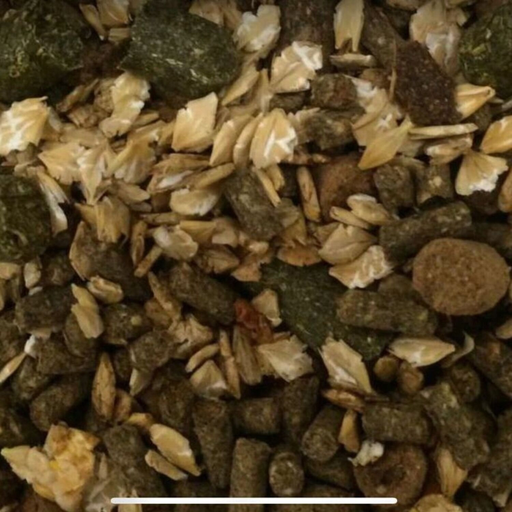 Лайт