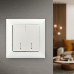 Выключатель Intro Solo 4-105-06 двухклавишный с подсветкой, 10А-250В, IP20, СУ, перламутр