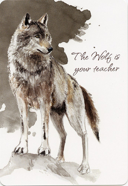 Power Animals. Spirit Guides for Your Spiritual Life / Оракул Сила Животных. Тотемы для вашей духовной жизни