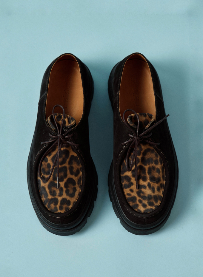 MocToe Brown Leo