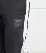 спортивные штаны EA7 - черный(3LPP63 PJ8VZ)