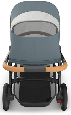 Коляска для погодок UPPAbaby Vista V3 2 в 1 Dillan