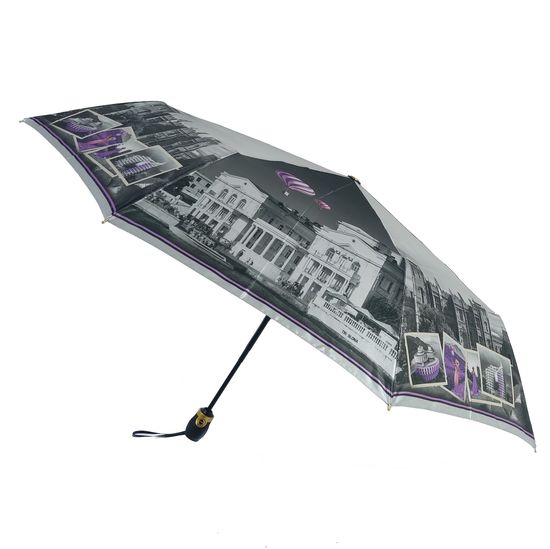 Женский зонт Три Слона  - Полный автомат 3835-V-05