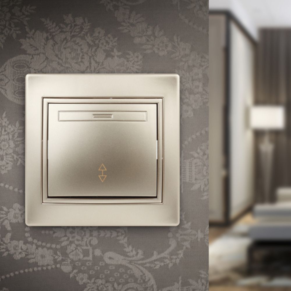 1-103-04 Intro Переключатель, 10А-250В, IP20, СУ, Plano, шампань | Intro