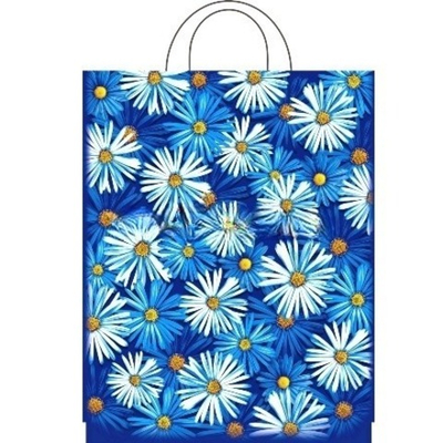 Пакет с петлевой ручкой ПВД 28х35 (55 мкм) "Пробуждение" (25/500 шт.) Интерпак