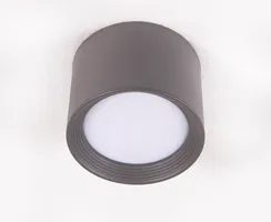 2559W/1 FGY (1/48) Светильник потолочный NW