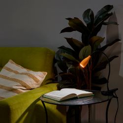 ULM-D501 4W-4000K ORANGE Светильник настольный светодиодный прищепка. Механический выключатель. Оранжевый. TM Uniel