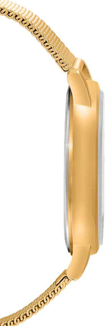 Мужские наручные часы Casio Collection MTP-B120MG-3A