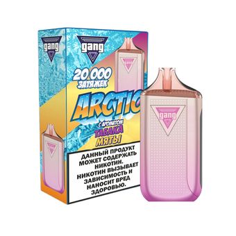 GANG ARCTIC 20000 - Табак с Мятой