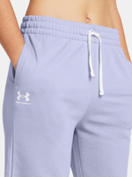 Брюки спортивные Under Armour UA Rival Terry Jogger-PPL