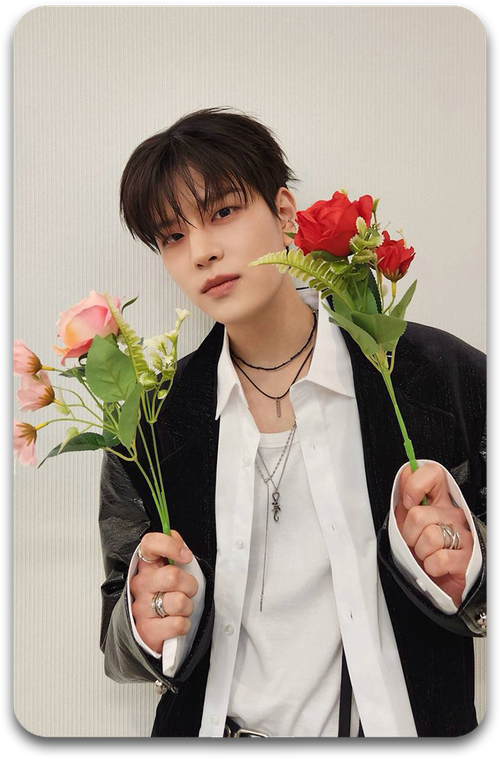 Карта / STRAY KIDS #2650