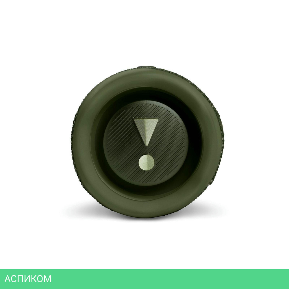 Портативная колонка JBL FLIP 6 темно-зеленый (JBLFLIP6GREN)