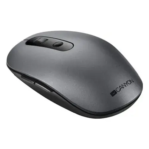 Мышь беспроводная Canyon MW-9 (CNS-CMSW09DG)