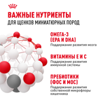 Royal Canin X-Small Puppy Икс-Смол Паппи Корм сухой для щенков миниатюрных пород в возрасте до 10 месяцев 500г