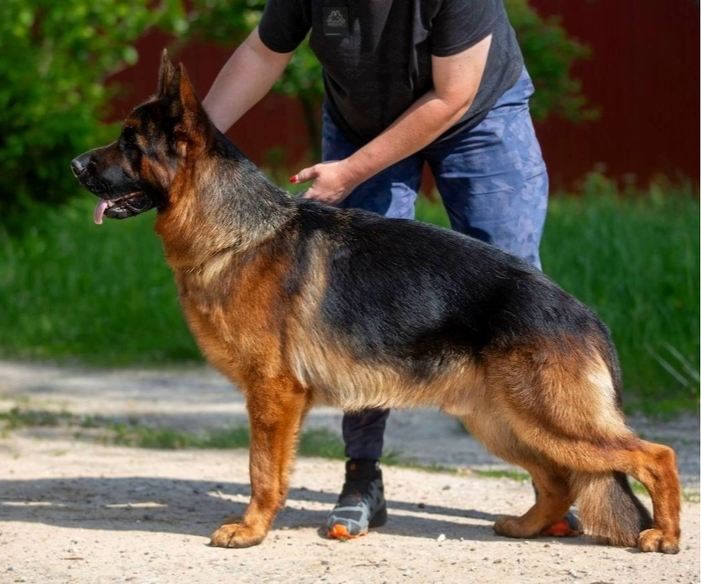 YUSTAS vom Team Furstenbrunn