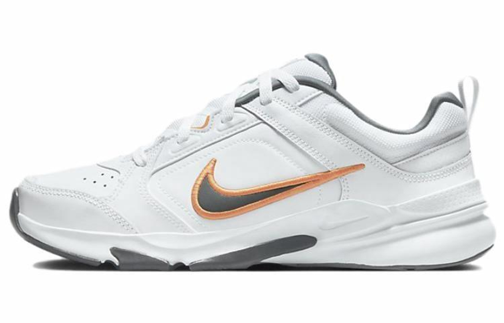 Кроссовки Nike Defy All Day