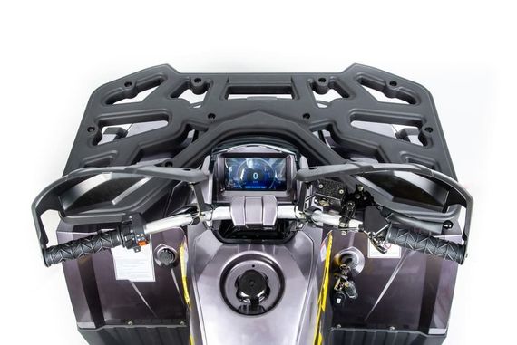 Квадроцикл MOTOLAND 200 Wild Track X Pro (2022)