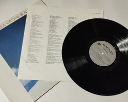 Винтажная виниловая пластинка LP Chris Rea On The Beach (Germany 1986) Lucky Day