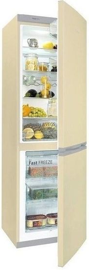 Холодильник Snaige RF56SM-S5DP210