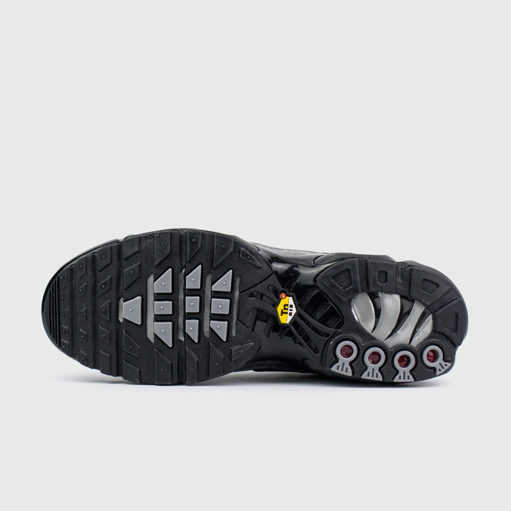 Кроссовки Nike Air Max Plus Tn Black Grey / Silver Blue