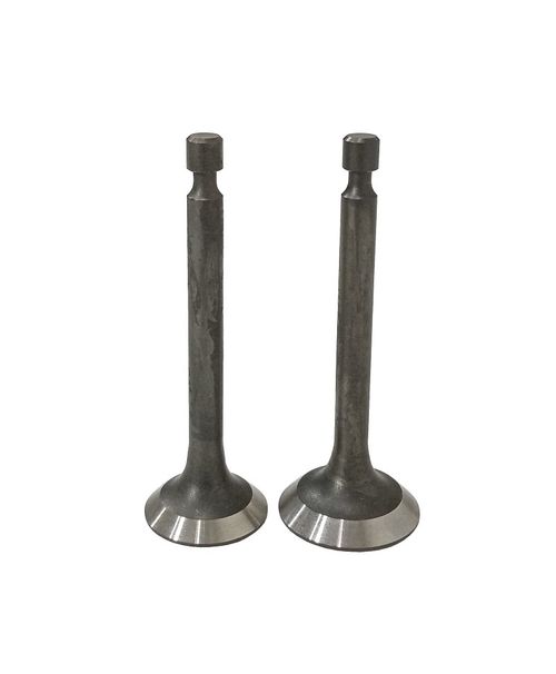 Клапаны (пара) LC154F-1/500550033-0001