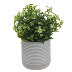 GAEM Цветочная композиция, L11 W11 H17 см, 3в.