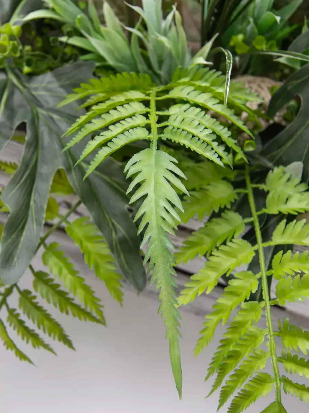 Композиция в ящике "Фаленопсис"