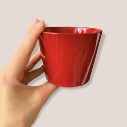 Кашпо Даллас 10х8 красный