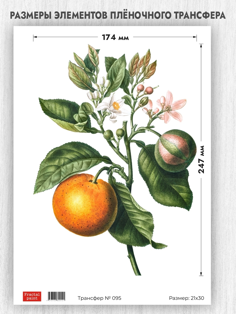 Трансфер для декупажа переводной рисунок для поверхностей 095