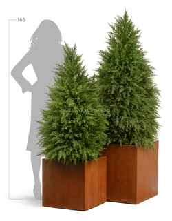 Кашпо TREEZ Effectory - серия Corten Steel - Высокий куб - Кортеновская сталь - Бархатистая окись