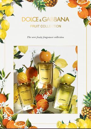 Dolce and Gabbana Orange