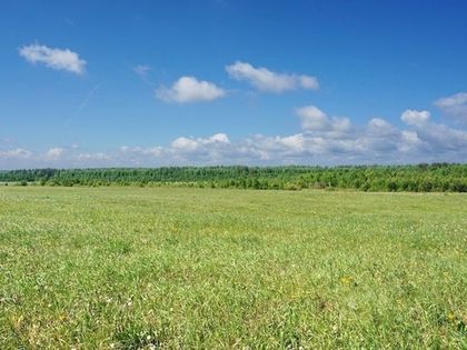 Уведомление о продаже участка сельхозназначения