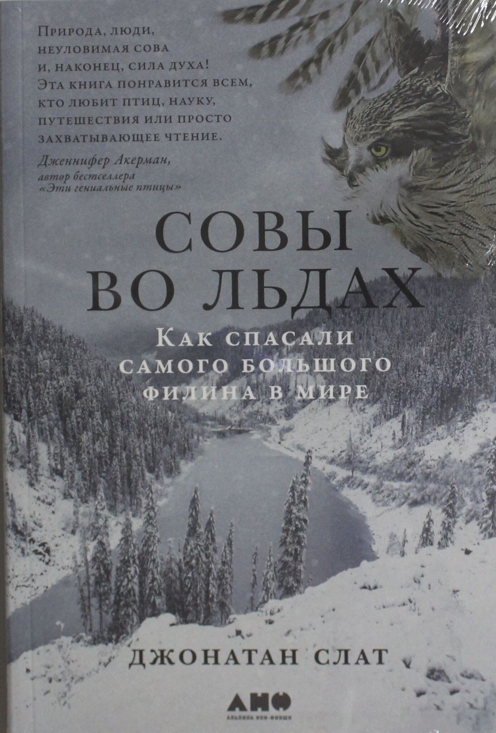 Совы во льдах: Как спасали самого большого филина в мире