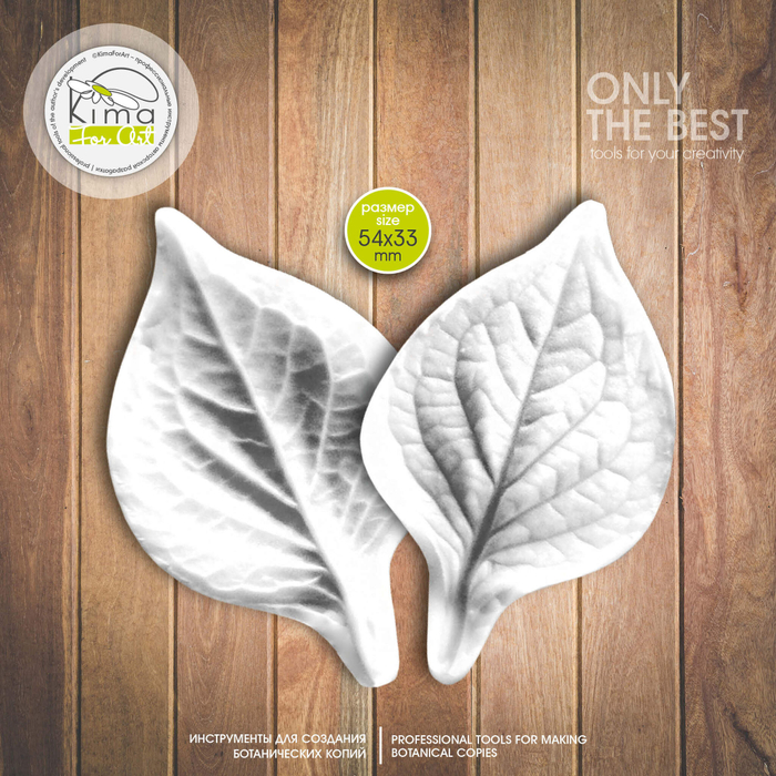 Гортензия Dolche лист маленький