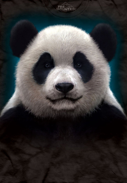 Panda Head