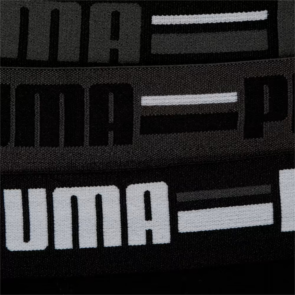 Мужское нижнее белье PUMA BASIC BRIEF BRAND ELAST