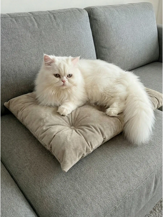 Лежанка для кошек и собак