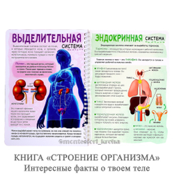 КНИГА «СТРОЕНИЕ ОРГАНИЗМА» Интересные факты о твоем теле