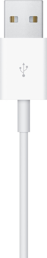 Зарядное устройство Apple Watch Magnetic Charging Cable 1 м