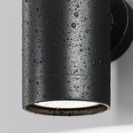 Уличный настенный светильник Outdoor O493WL-01B