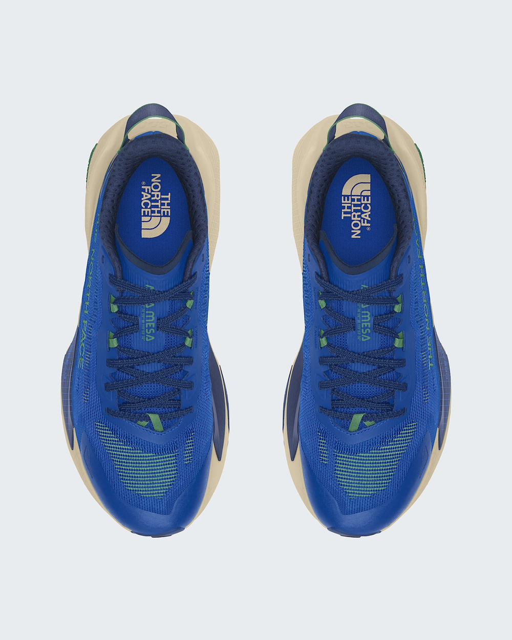Кроссовки для бега The North Face ALTAMESA 500 V2 Blue/Dimmed Algae