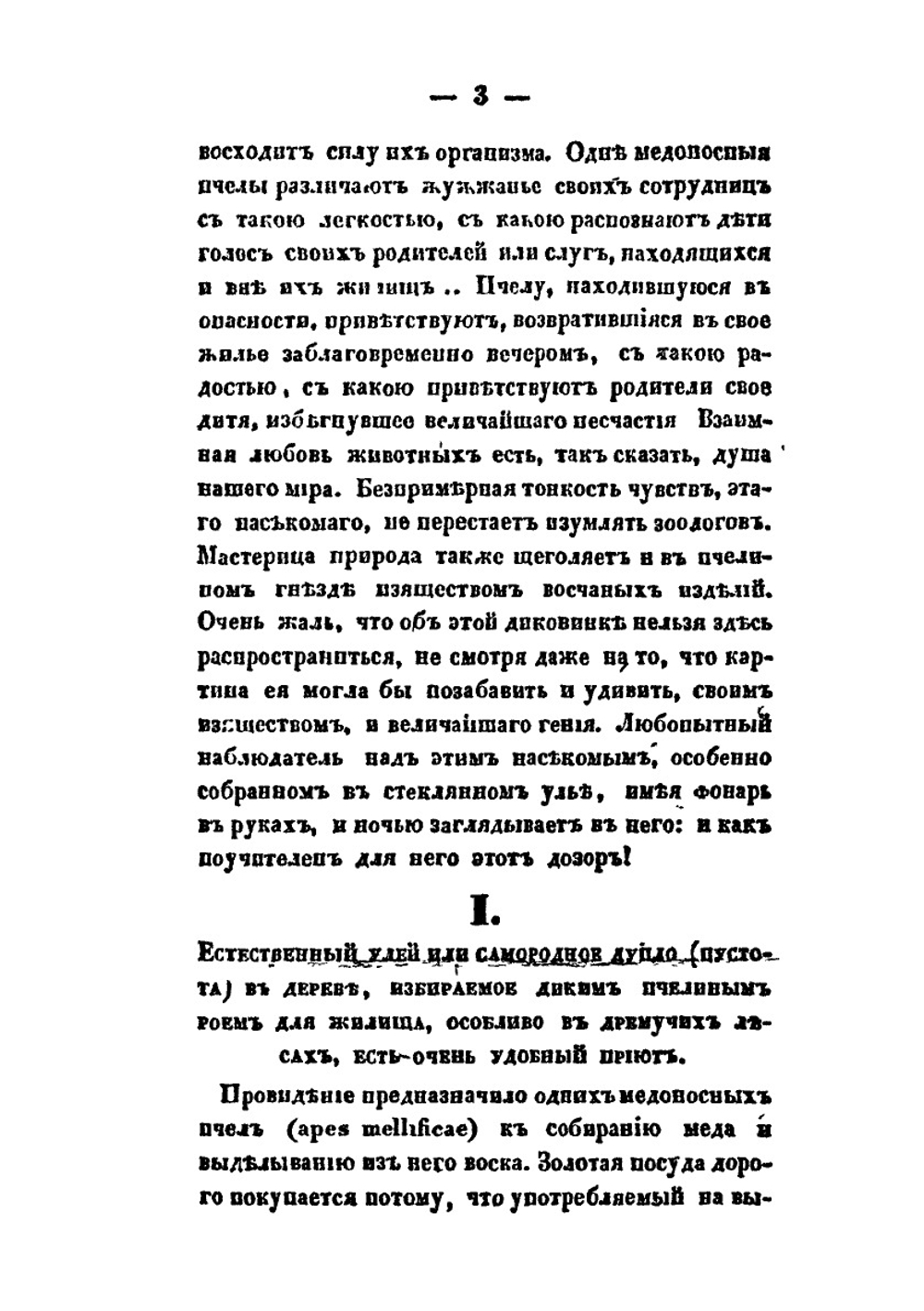 Практическое пчеловодство. Правила для любителей пчел. Часть 3 | Н. Витвицкий