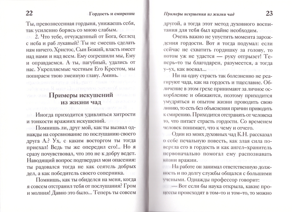 Плоды любви и покаяния. Схиигумен Савва