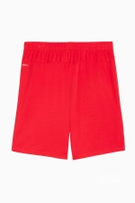 Шорты Puma teamGOAL - красный
