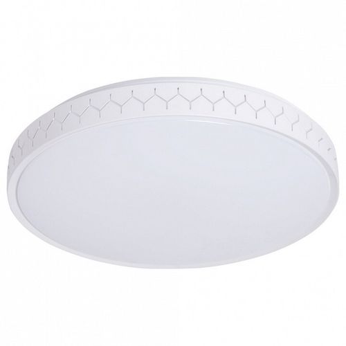 Накладной светильник Arte Lamp A2682PL-72WH