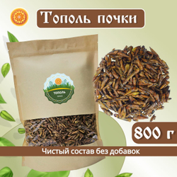 Тополь черный почки.