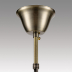 Подвесная люстра Lumion LINN 8190/5